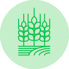 FERTIGATION